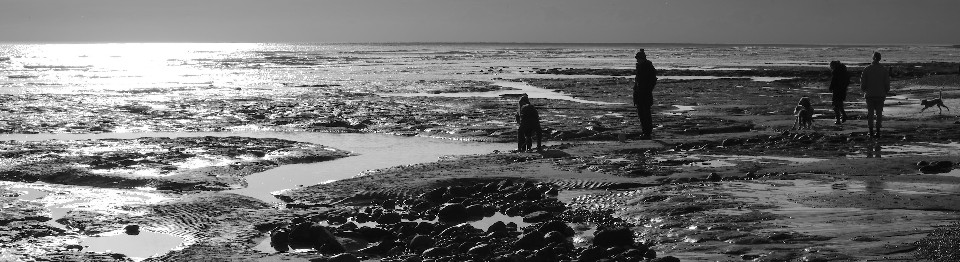 Silhouettes on rocky shore